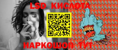 крисы Кингисепп