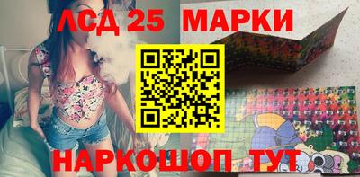 крисы Кингисепп