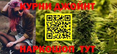 крисы Кингисепп