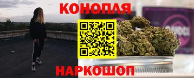крисы Кингисепп