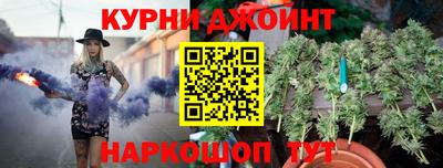 крисы Кингисепп