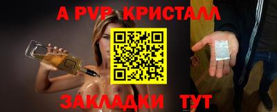 крисы Кингисепп
