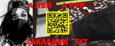 крисы Кингисепп